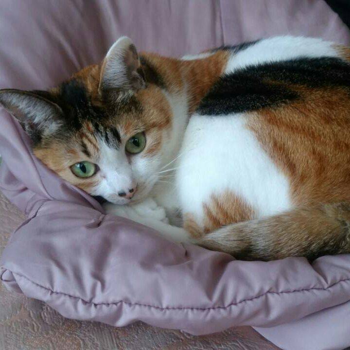 2b5482d3 4ec9 41a2 a399 78cddb907a1a