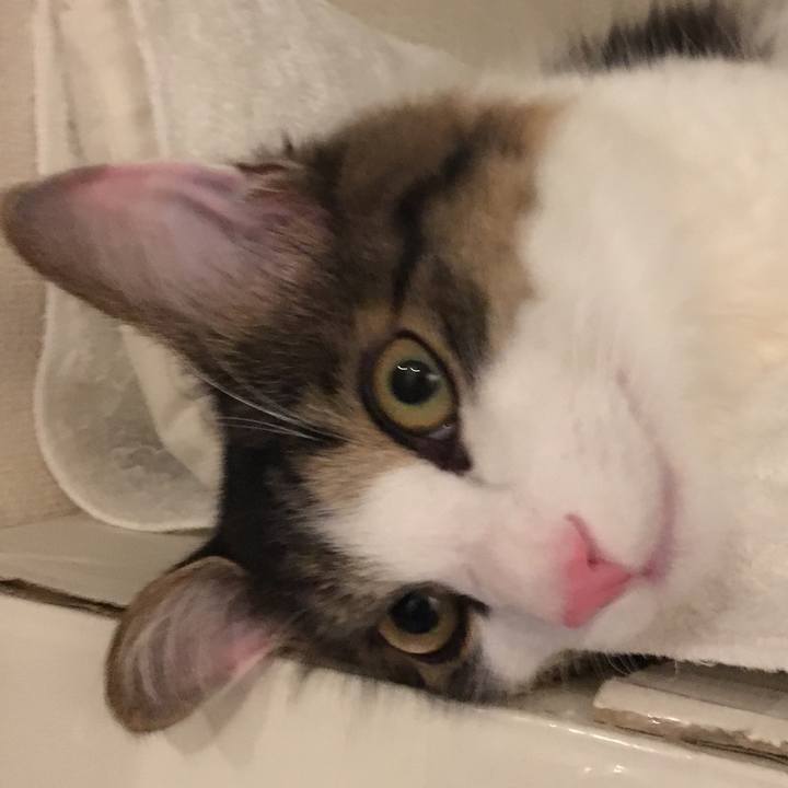 2b54b7e3 10e0 4656 be38 82d5634c5b59