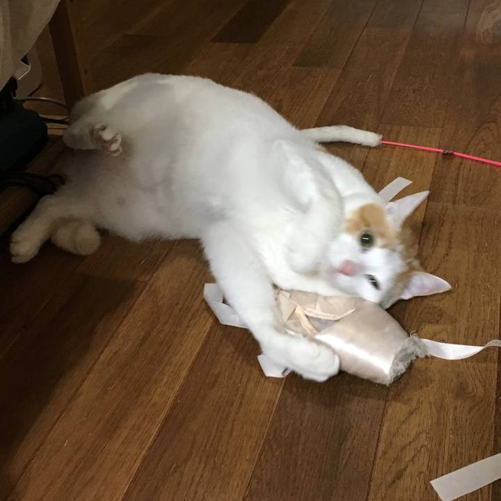 2b5553f3 667f 4c47 8225 bf1d93a59da7