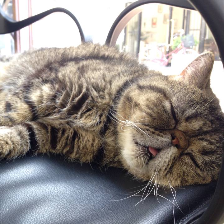 2b555730 a095 481b b894 b811792cd9bc