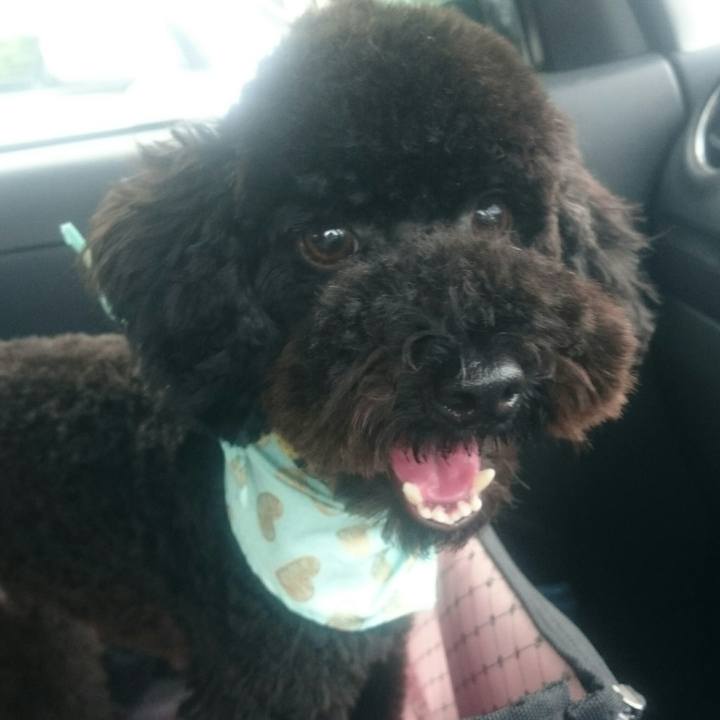 2b55adc2 3dad 48be ad0e 474fd071b540