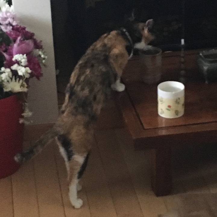 2b560052 4c29 4137 9c3e fc53f1111908