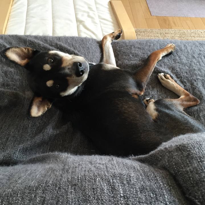 2b56f672 6135 4b1b 8ac4 2ca95aa26415