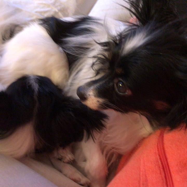 2b574f74 9b3d 494c bf10 fdc8f947cccb