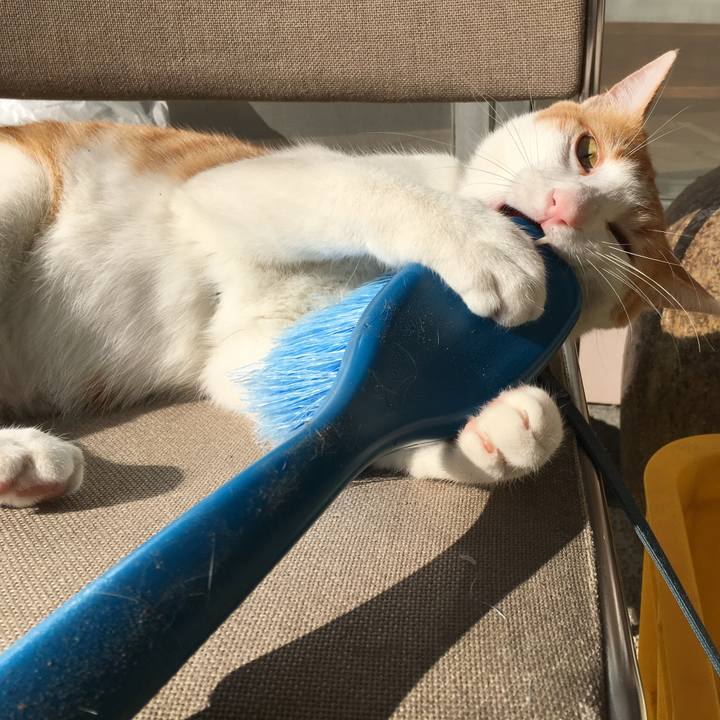 2b57792c b69e 43ff b2f3 d0c1ffbae733