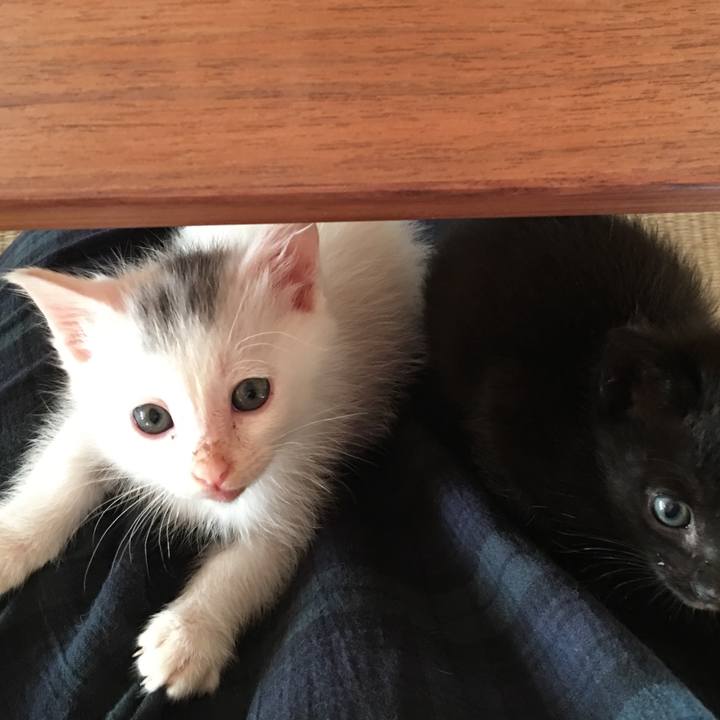 2b5832e6 df42 43a1 9053 1167e99a1d1d