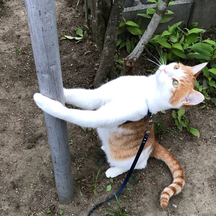 2b59167c fd64 4156 9949 1340de0c549d