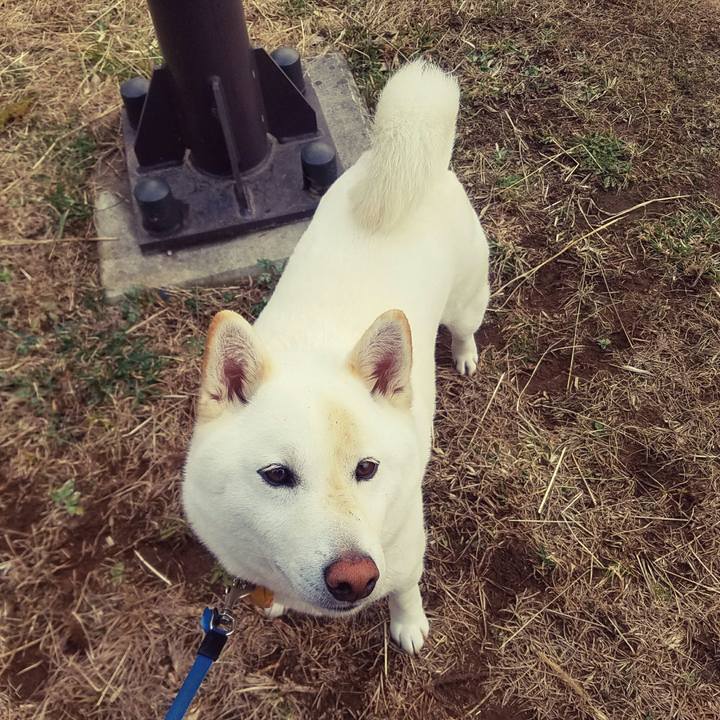 2b5924ae a263 47dd 9359 5ee95f9ae116