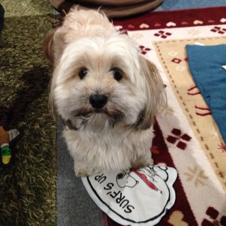 2b5971c1 f347 4355 b61d 41c3fde27fad