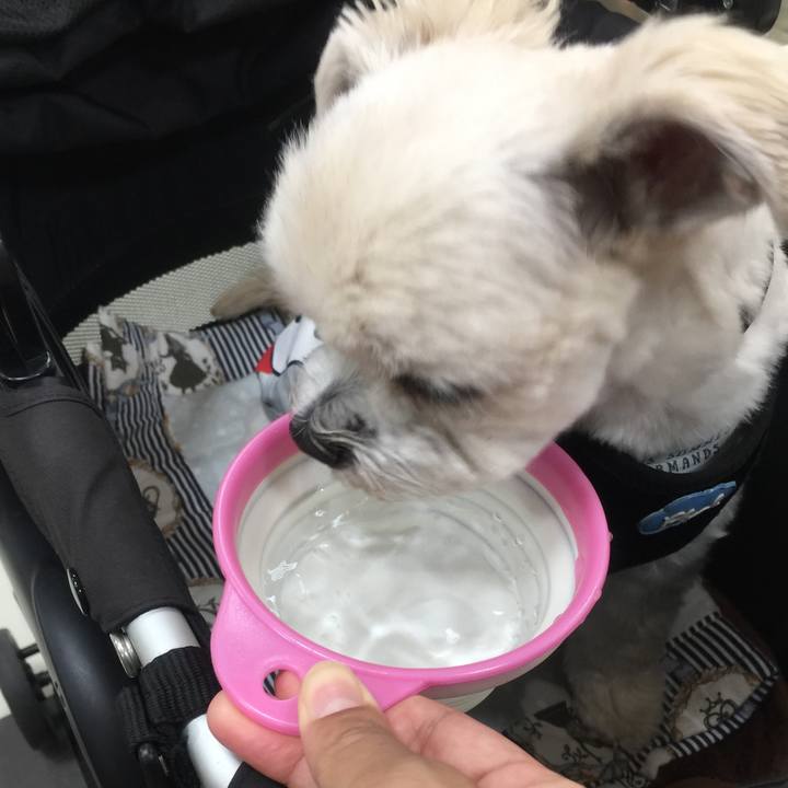 2b5a1cf4 9608 4c8e 995c 94f2bf6d14fe