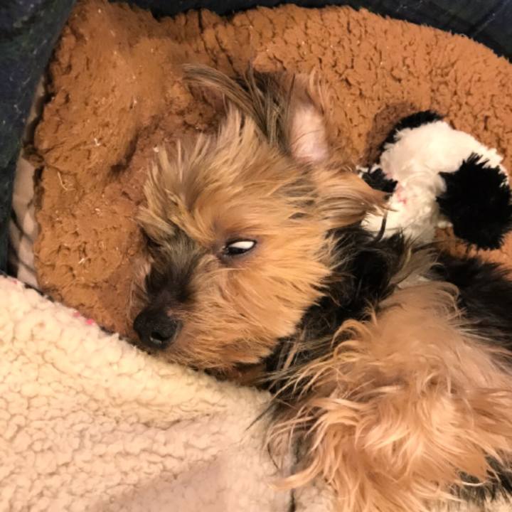 2b5b39c7 b282 4b07 b4fb 5e5a552db007