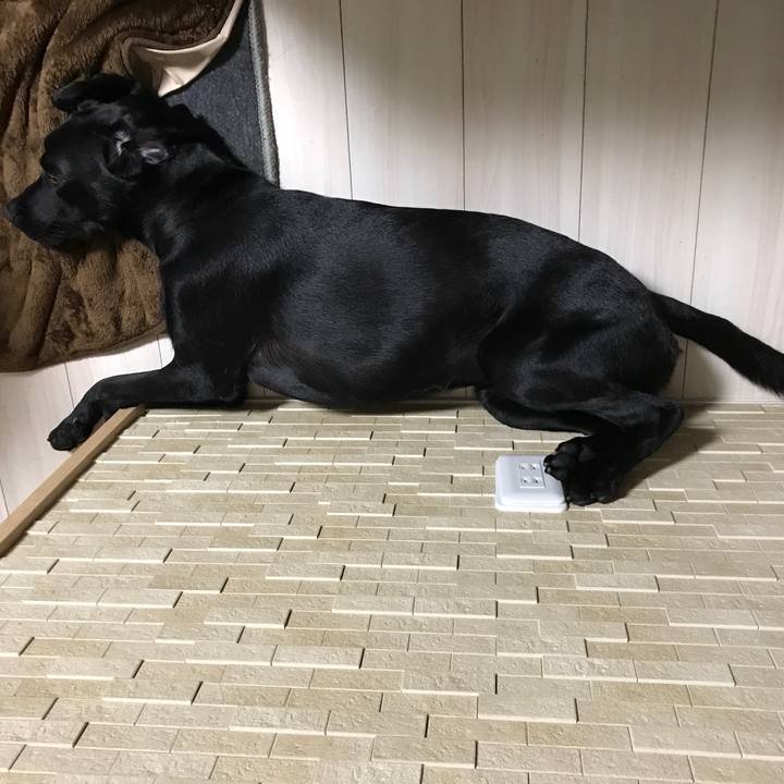 2b5b43c1 0e80 48b2 b56d 32fe180e5f88