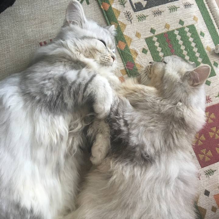 2b5b44cd e678 4e45 b216 a73fa475d12d