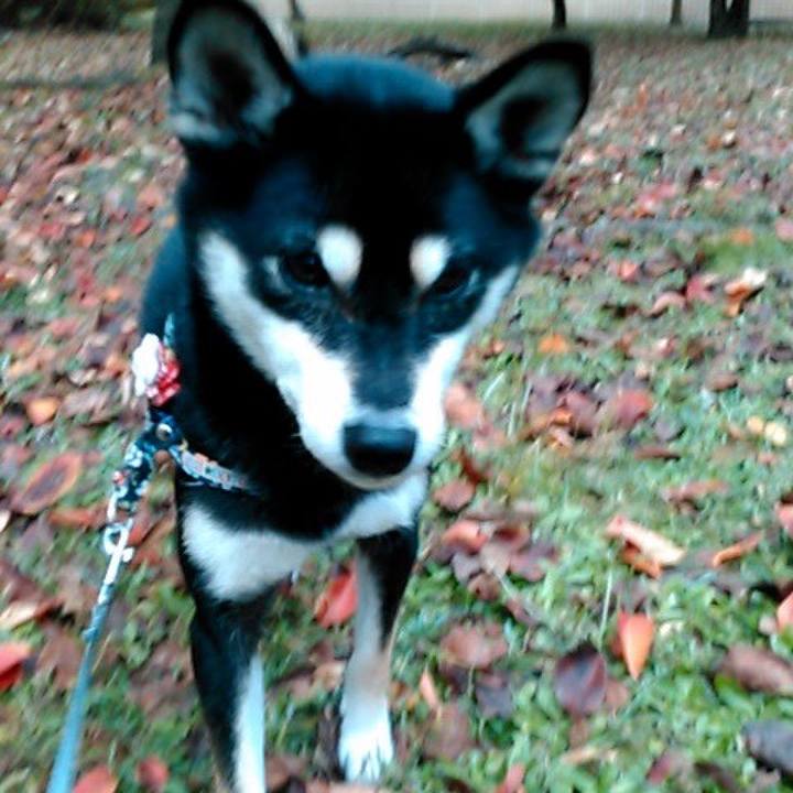 2b5bc099 f66d 4336 b9a4 847a73d0502c