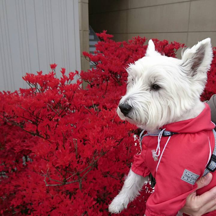 2b5c2c5e bce4 4760 8096 4210eb60d0c8