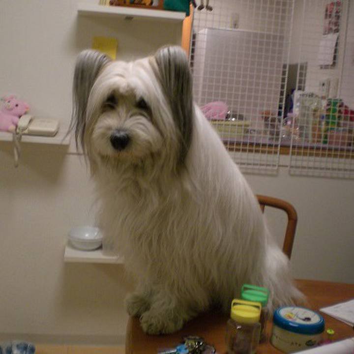 2b5c3623 27fb 4e49 a675 191832cd2787