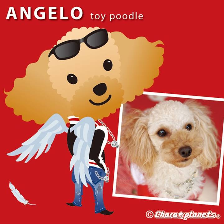 2b5cb227 2950 4bd8 b527 5f876841d4ef