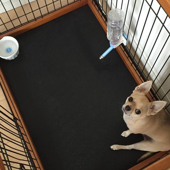 2b5d1f52 fad2 419c 9c92 6f1293bc89fe