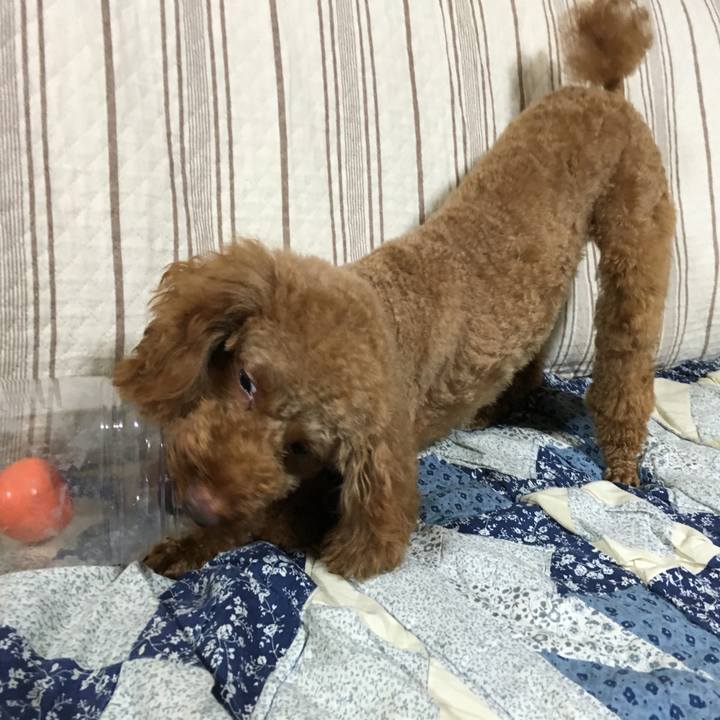 2b5dfc9f 7e39 4c89 8bd0 6ff2b555c9ac