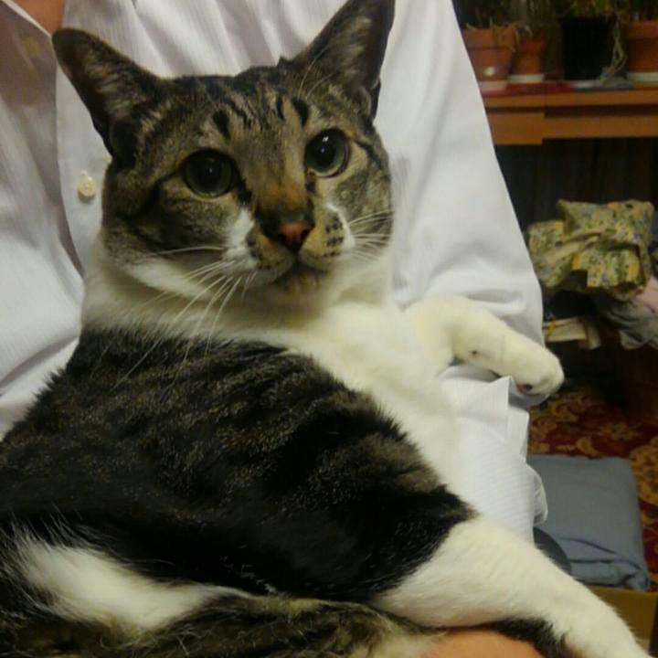 2b5e9646 5c7c 4ded 849d 35211b1c42f4