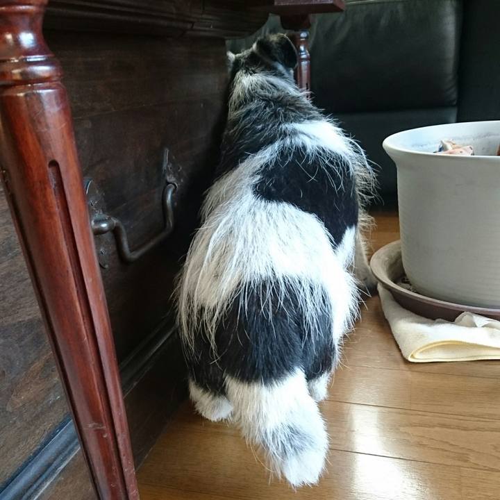 2b5eff8a d914 4369 9d46 0ec3a613c464