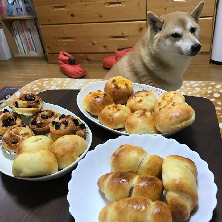 2b5f3a52 e31f 4833 b9ff 9dbbb8b7d49e