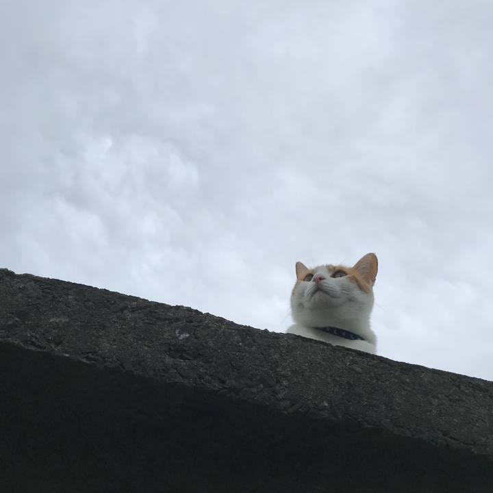 2b5f3eb6 a87d 4c10 b98e 1fdf85dc1848