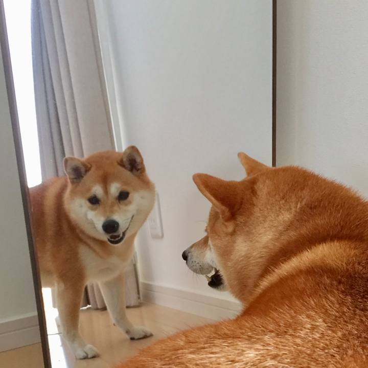 2b5f5e5e 5754 4c90 ad18 6ee84423c2bb