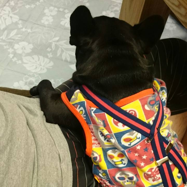 2b5f9929 9b08 4829 b922 42460209bbbc