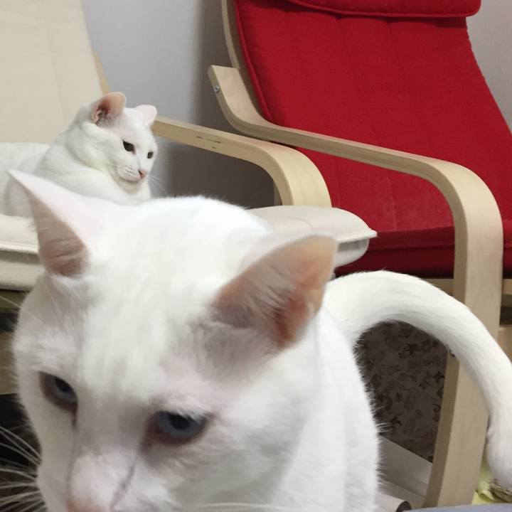 2b5fccfe 5f10 4d49 b8c5 e83eac3b9df9