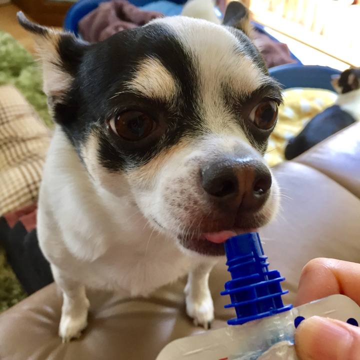 2b60499b 8e87 40a2 b700 136726edc45e