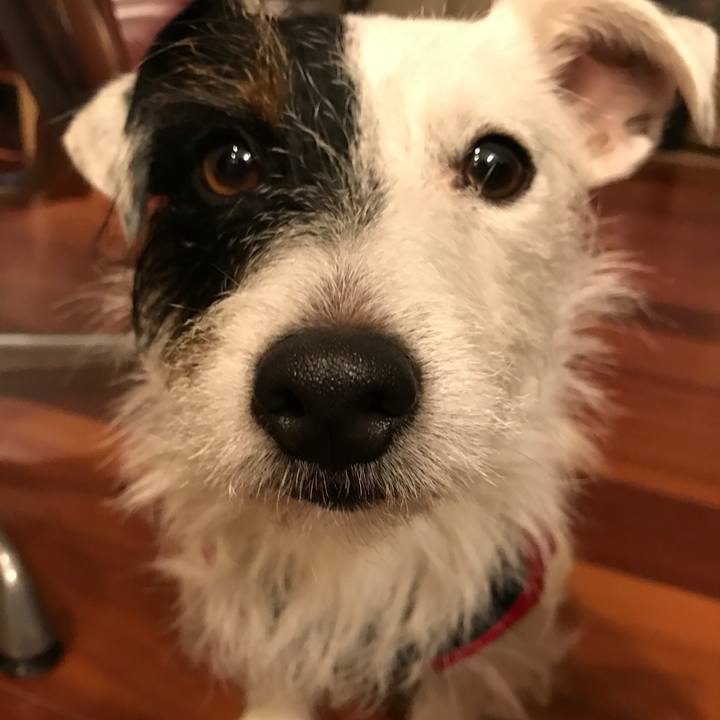 2b609a49 3b8d 4453 9874 cd076552f179