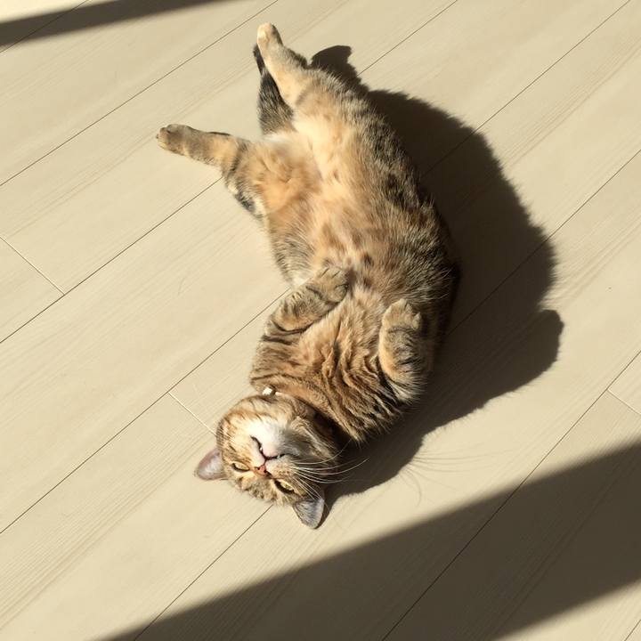 2b6127cd eca0 4840 a81b 974522d6d786