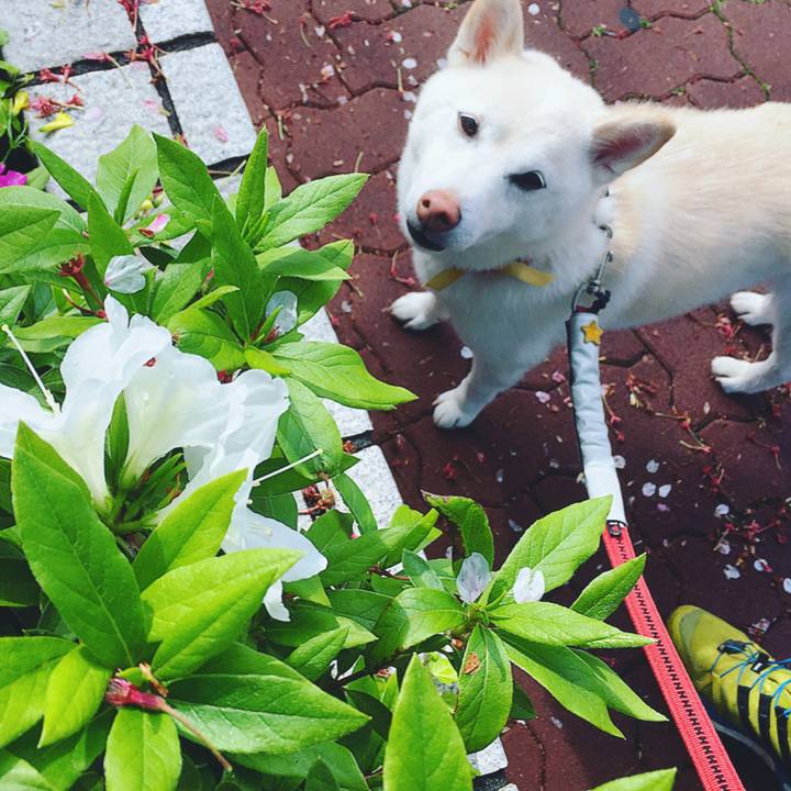 2b61394c 3689 4e6e 92b6 18bb91170c8d