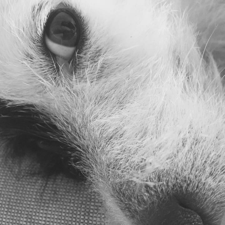 2b6154ea 5135 4ff6 acde fca73259d484