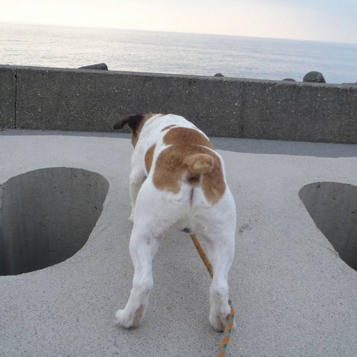 2b616661 73a4 43b7 9a6c 5e07cff8af88