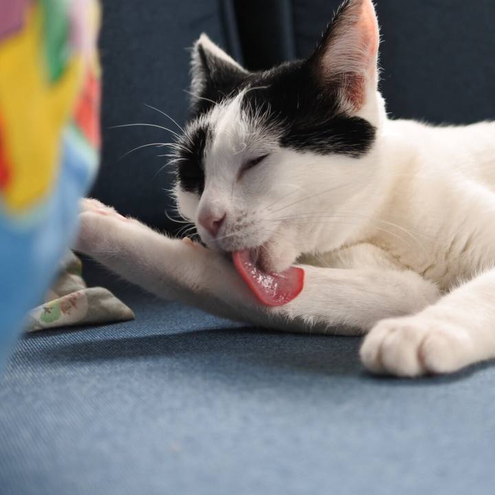 2b616c52 f32e 469e 8ab2 5867a07b38d3