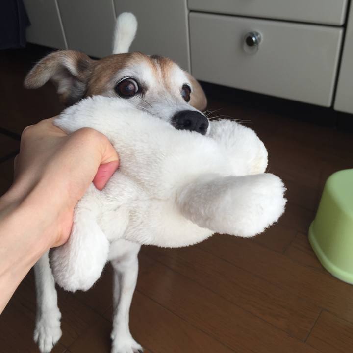 2b617cb8 7711 4b30 840c e7e3bb522821