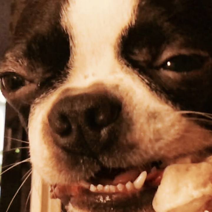 2b61906d 2747 4b76 bf4e c8d50a543d86