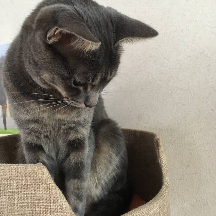 2b619926 fe47 4941 94a4 0b255de6a7cd