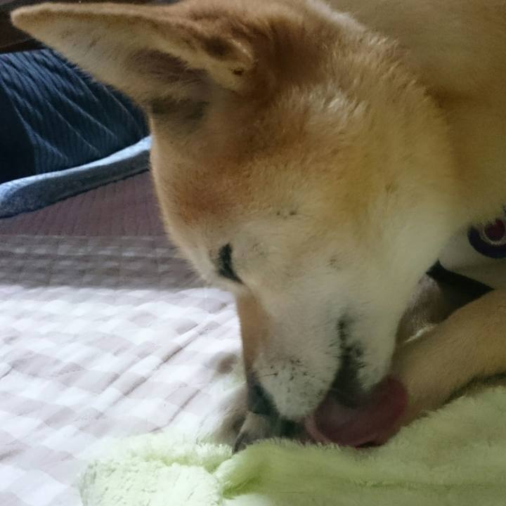 2b61b2be 1599 4940 8c69 4a4ada53c94a