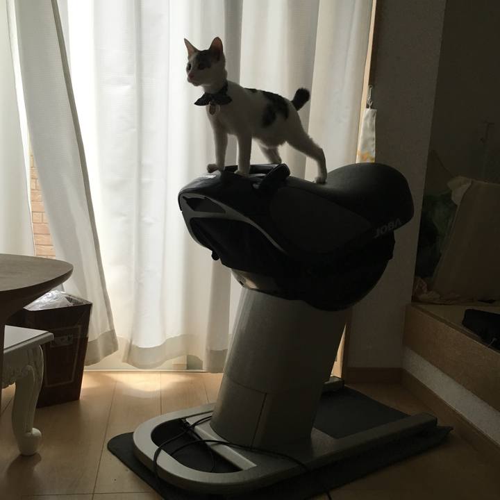 2b61f215 1ee7 48be 9637 75dff61fd21f