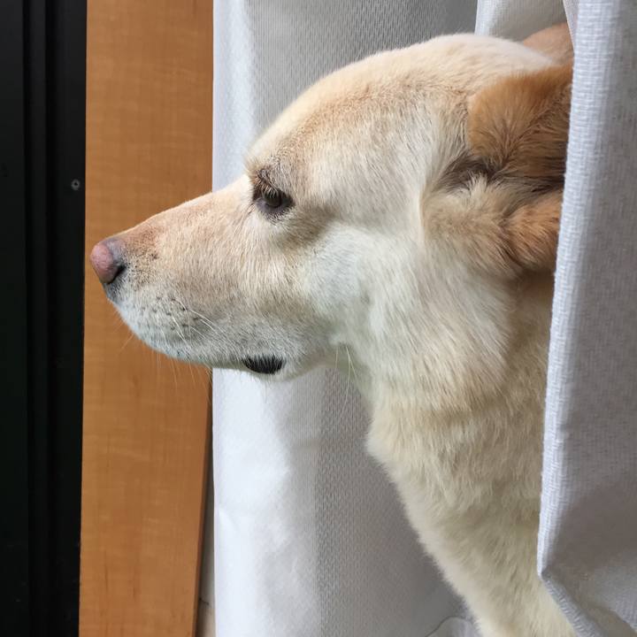 2b626abb 28e6 443b a8b5 98e6acab7c2a