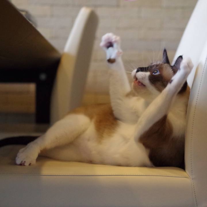 2b626cf4 d554 4f09 89fb 189c6336bc6e