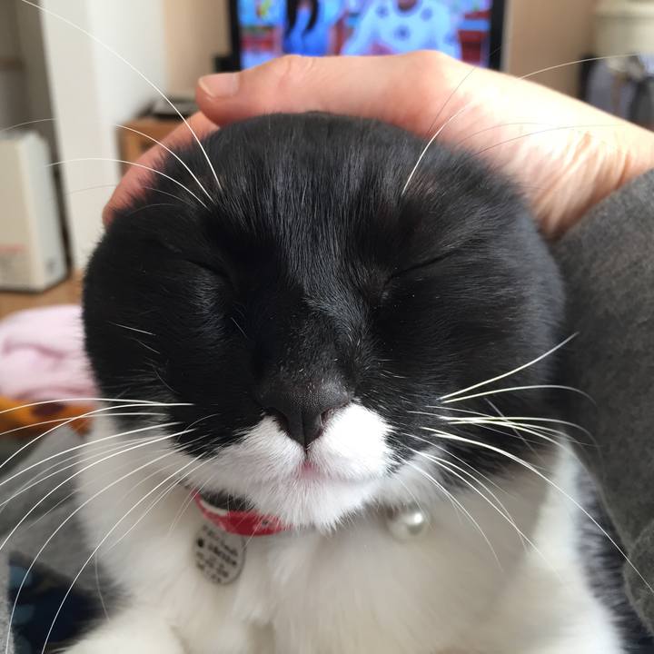 2b627337 88f7 429c 8ace 8a9e6508b6b0