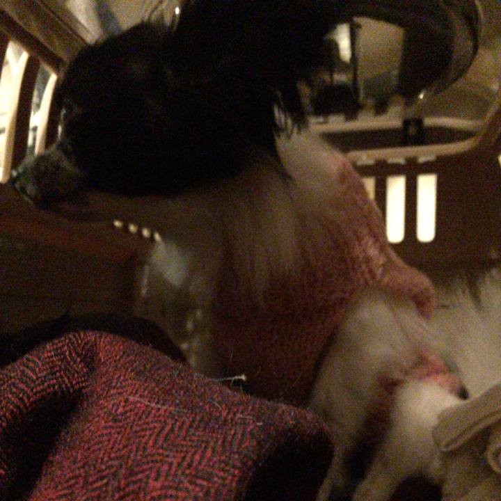 2b62f58b 30e7 40c3 9d5f 0b0221529b93