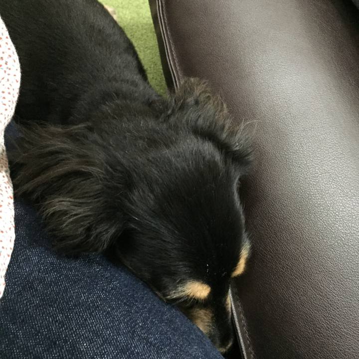 2b63022b 2614 414a a44a ef6a9fac4676