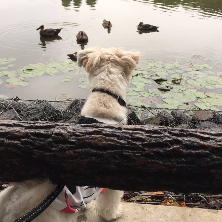 2b632546 f89b 456b afcf 20ba8ec3ecc0