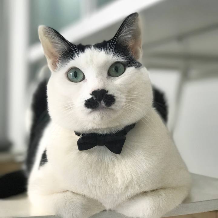 2b636dad ab9b 4d54 95af f893bda0dcd0