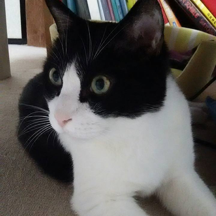 2b6388d0 5e56 4a44 be52 aa4adf08183f